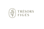 Trésors figés – Accueil